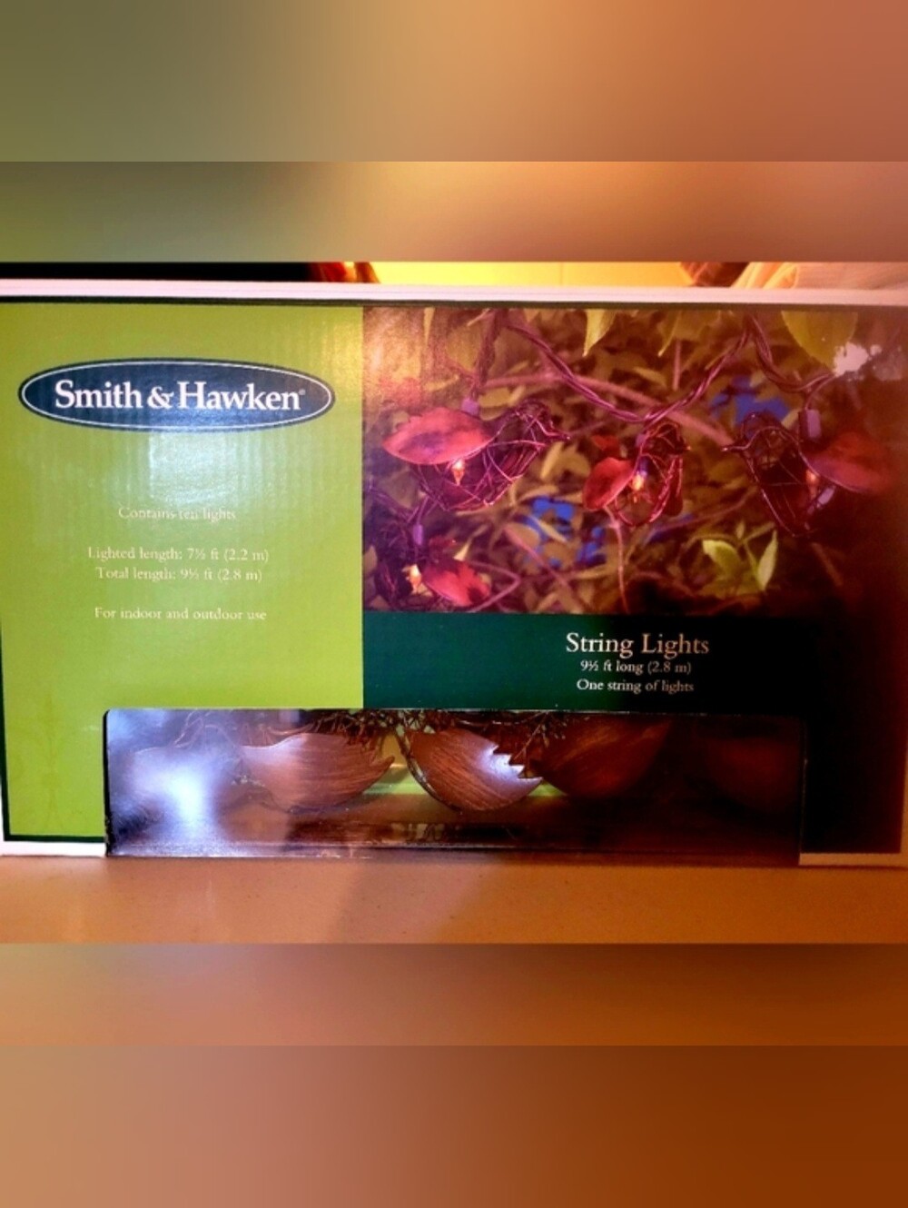 Smith & Hawkins String lights 9.5 ft long For indoor and outdoor use New